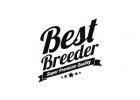 logo-best-breeder